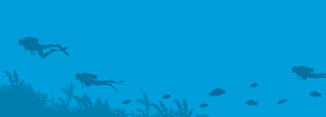 Amira CTA Background